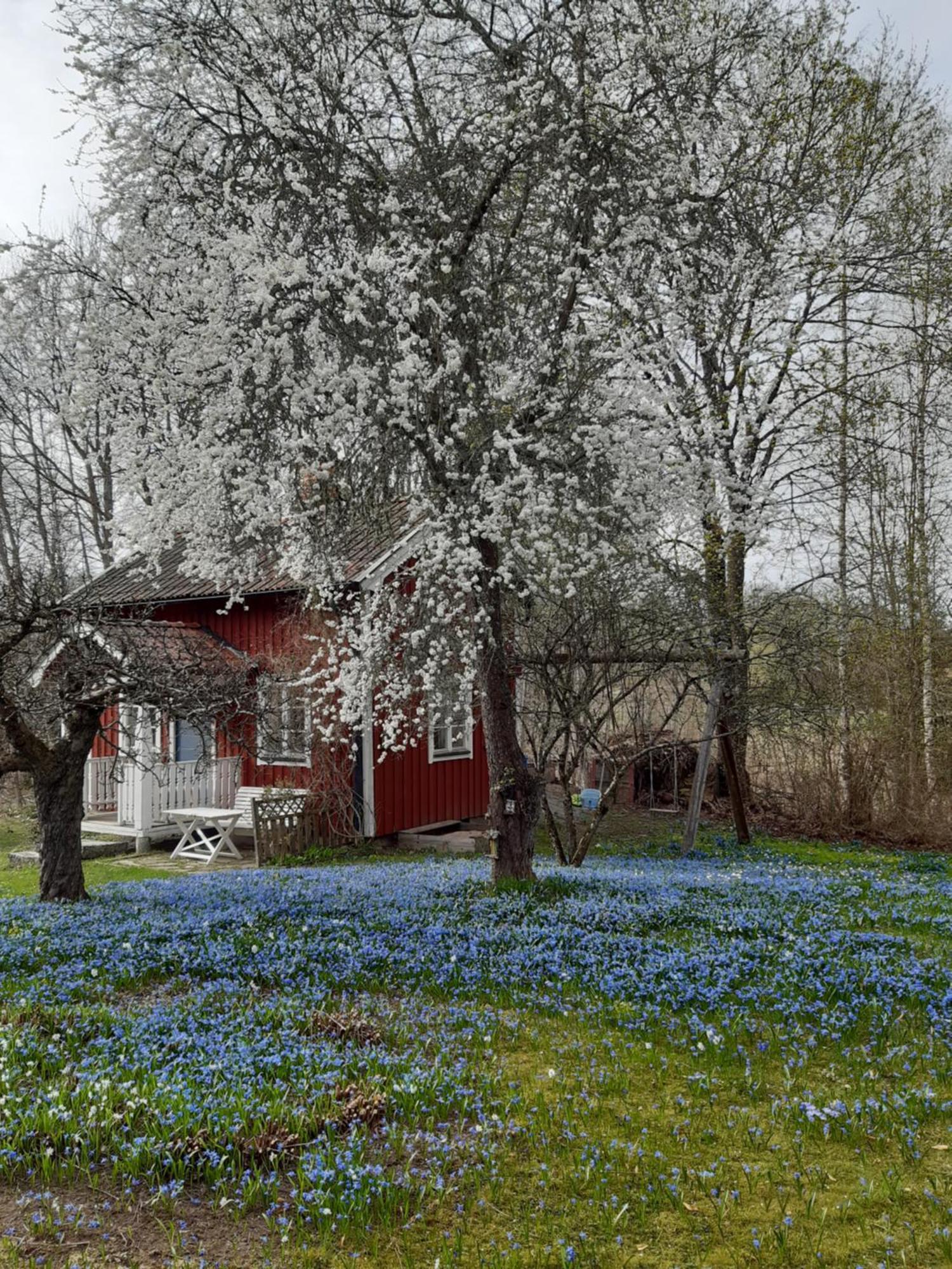 Roeda Stugan Pa Slinken Sala Exterior photo